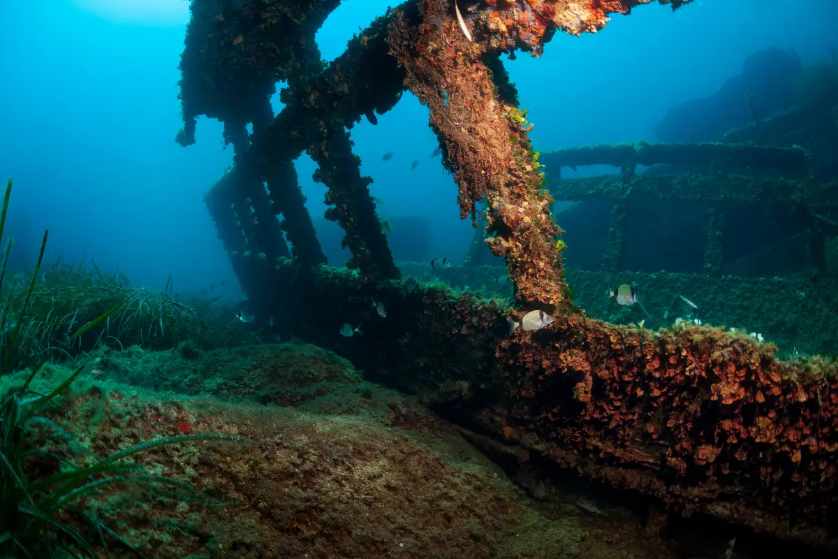 Illustration of the São Bento shipwreck in 1554