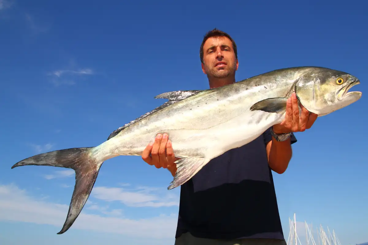 A fine garrick caught on the Wild Coast