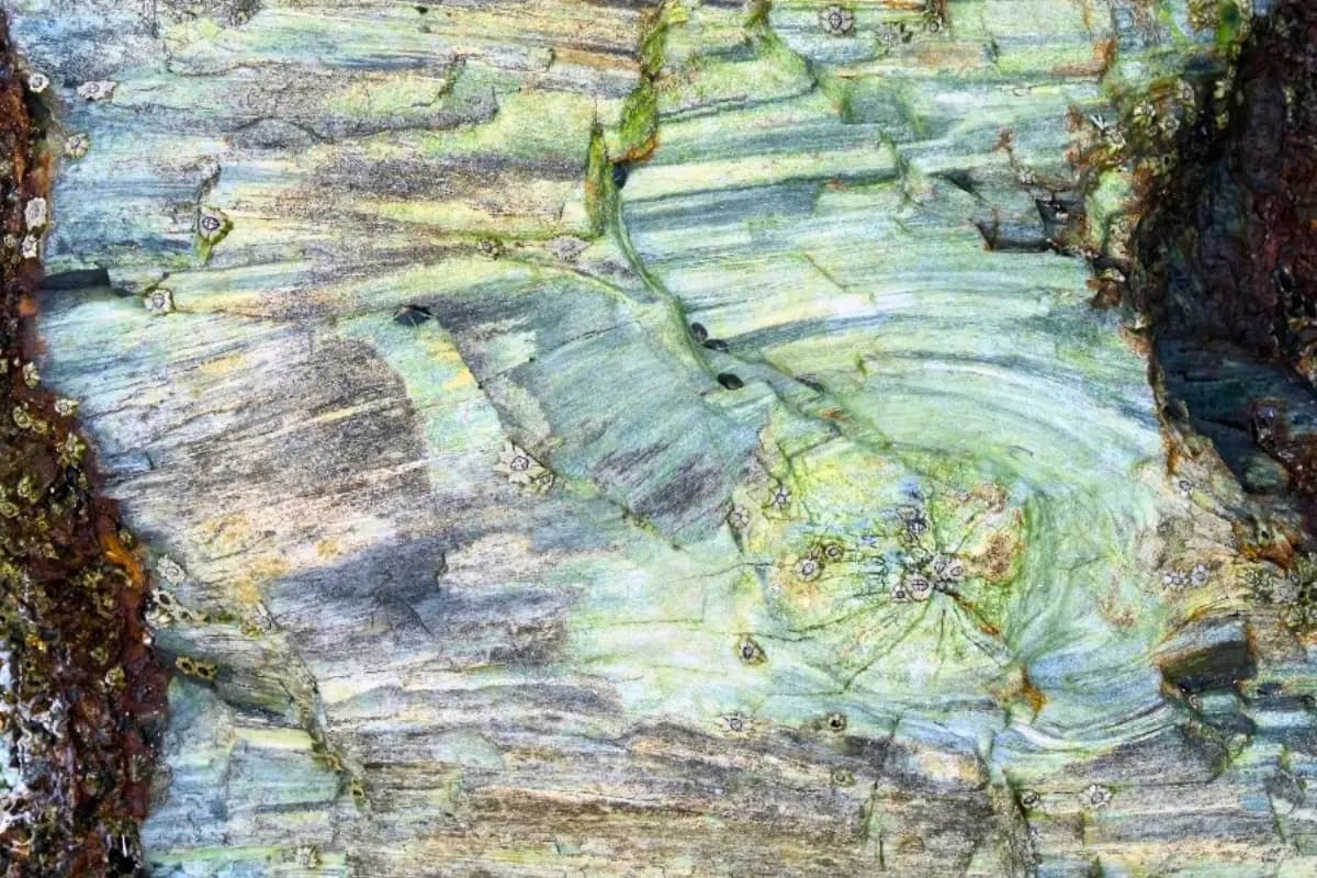 Layered fossil sandstone exposed at low tide at the Mzamba Fossil Beds