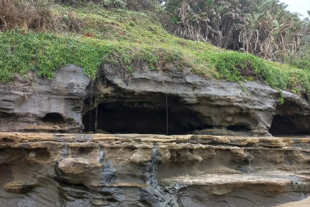 Fossil-rich cliff face and caves along the Mzamba coastline
