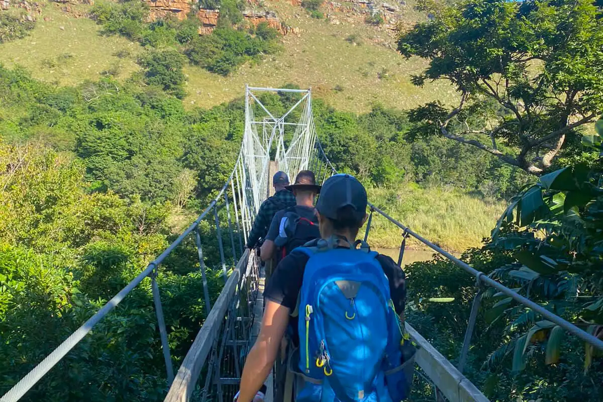 Line of hikers crossing the Mzamba suspension bridge single file into the green hills at the start of the Mtentu Ramble, Wild Coast, South Africa