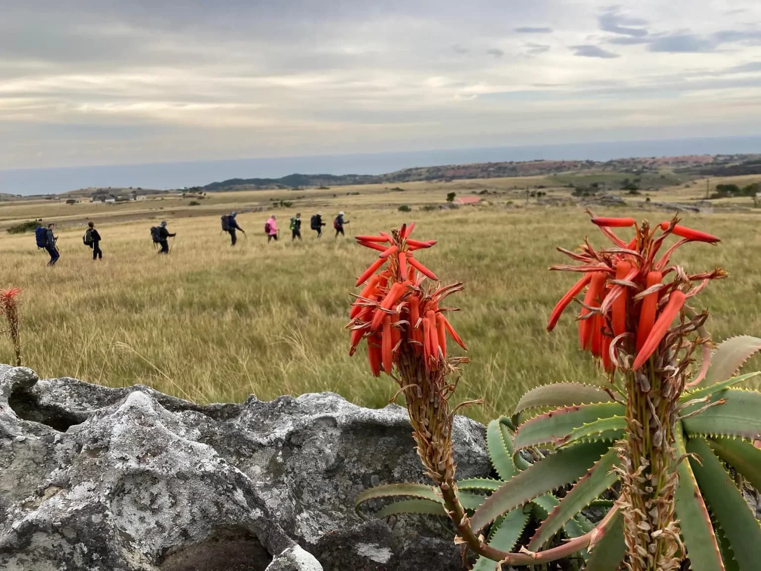 What to Expect on Your 4-Day Mtentu Ramble Hike