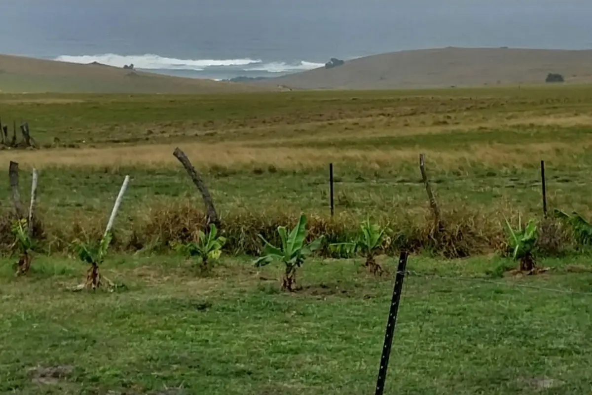 The Hiking Shack sunset view