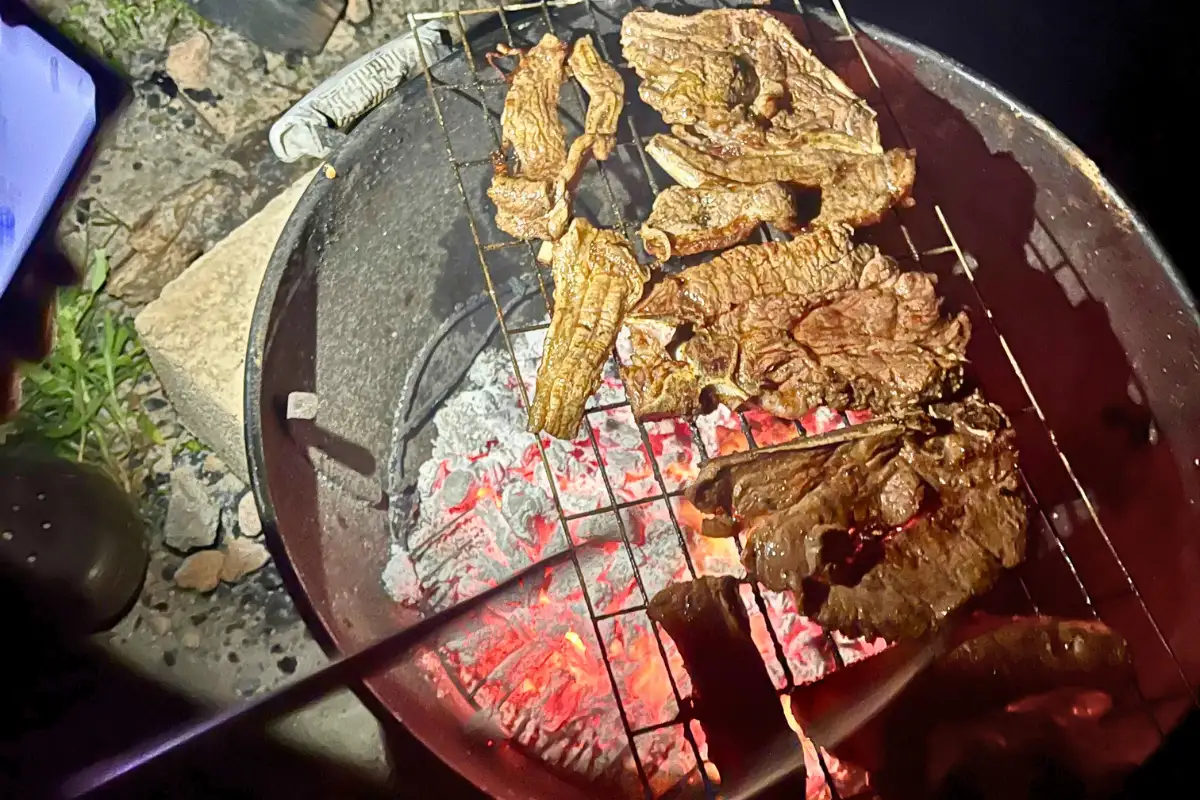 Meat on a braai over open fire