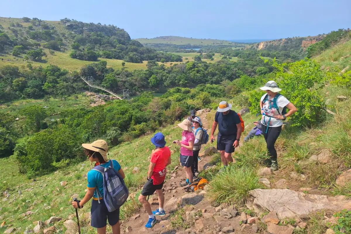 Hikers descending a green hillside