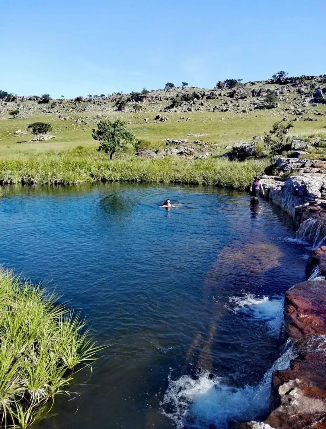 Paradise Pools