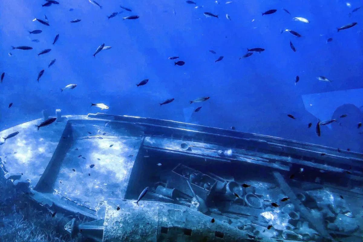 Ships lost to the deep - the sea keeps its own stories