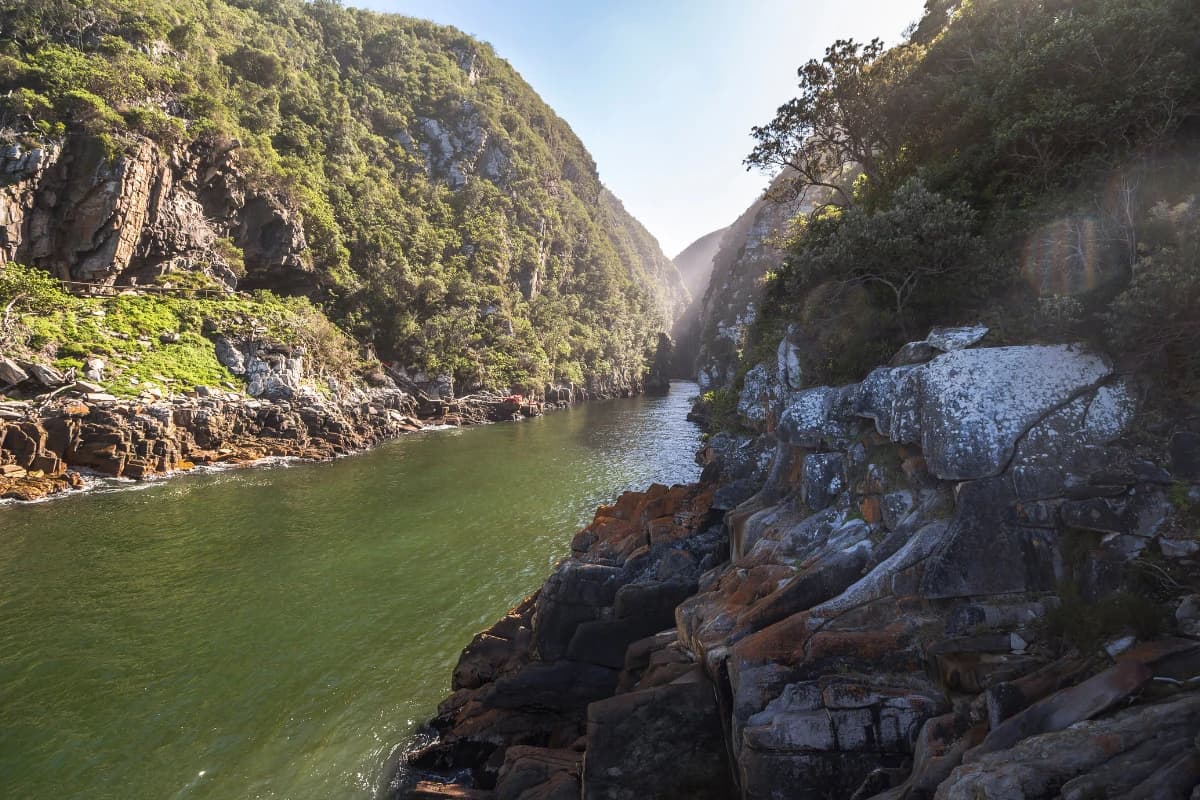 The green waters of the Storms River winding between steep forested gorge walls and lichen-covered rocks on the Otter Trail, Tsitsikamma, Garden Route, South Africa